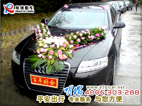 �c(di��n)���Ŵ�